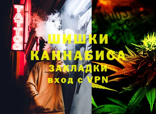 соль ск Алексин