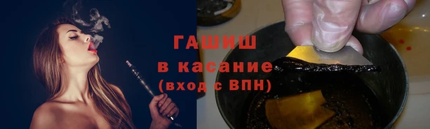 дмт Алзамай