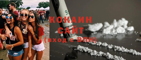 соль ск Алексин