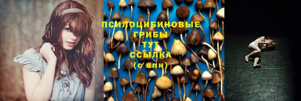 дмт Алзамай