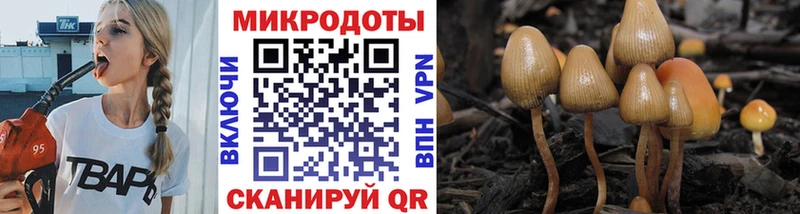 что такое наркотик Лянтор Псилоцибиновые грибы Magic Shrooms