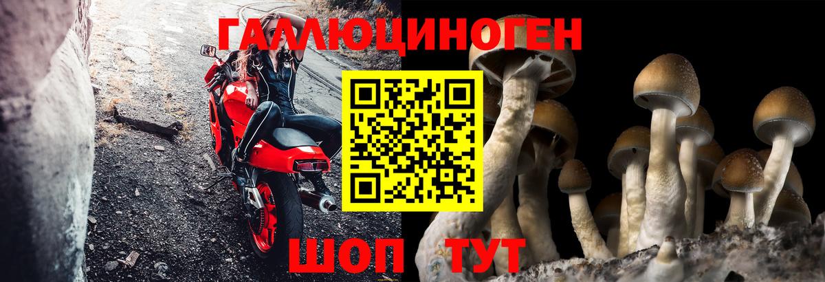 Псилоцибиновые грибы Psilocybine cubensis  Псилоцибиновые грибы Cubensis  Лянтор  Вход с VPN 