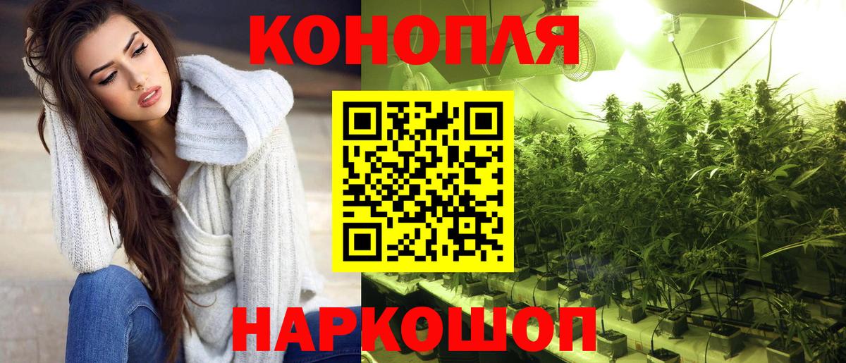 Каннабис планчик Лянтор